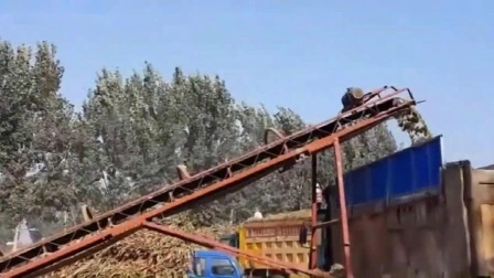 triturador triturador de madeira de tora de árvore de biomassa de tamanho acabado Siemens motor 20mm-40mm